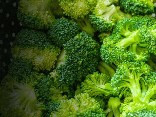 Ekologisk broccoli